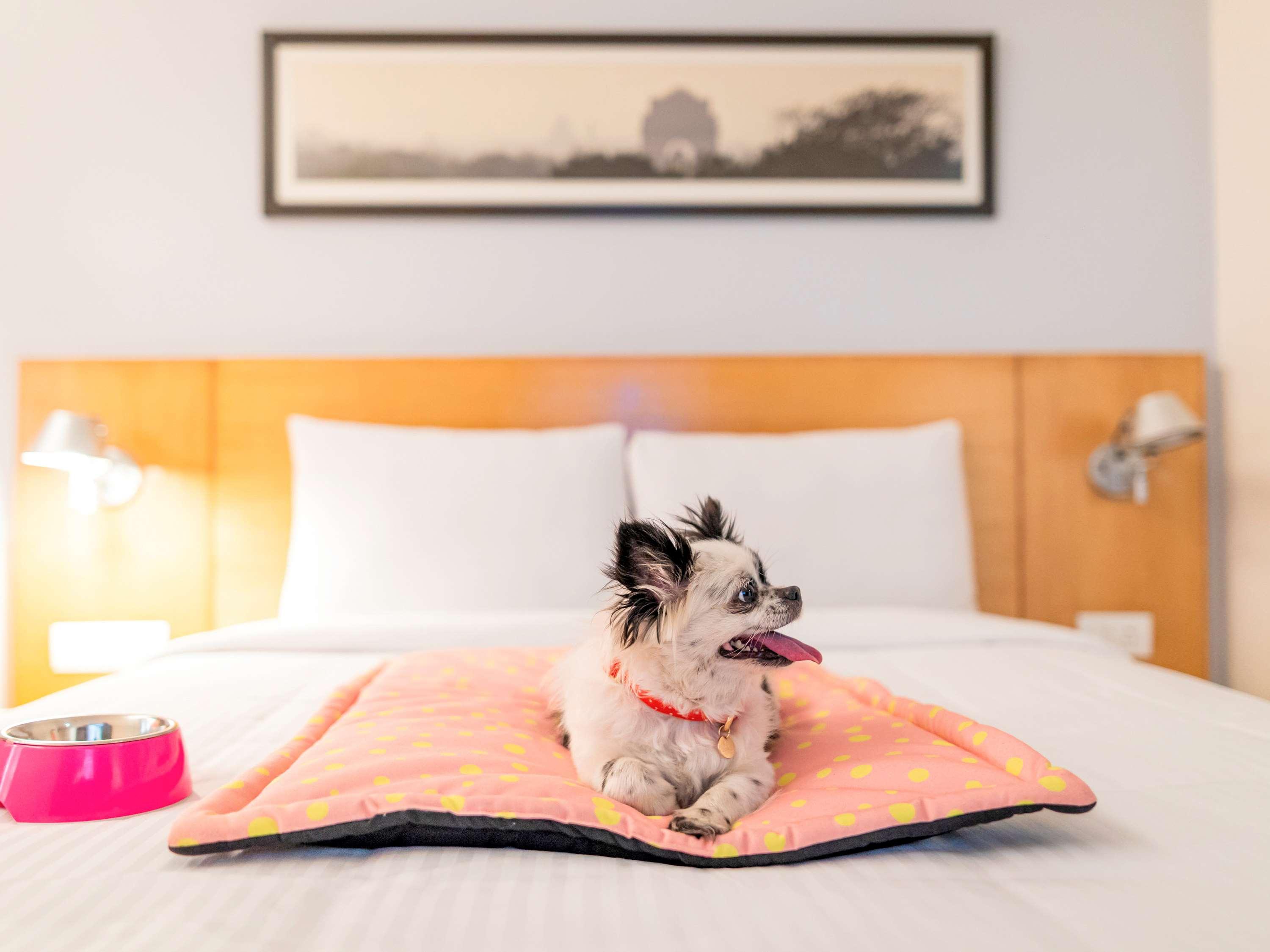 Ibis Kochi City Centre - An Accor Brand Extérieur photo